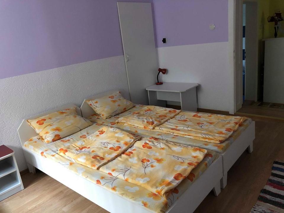 Aparthotel Balazs Vendeghaz Lupeni  Zewnętrze zdjęcie