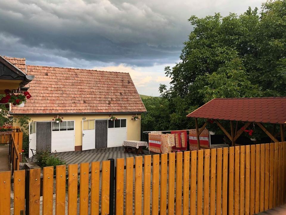 Aparthotel Balazs Vendeghaz Lupeni  Zewnętrze zdjęcie